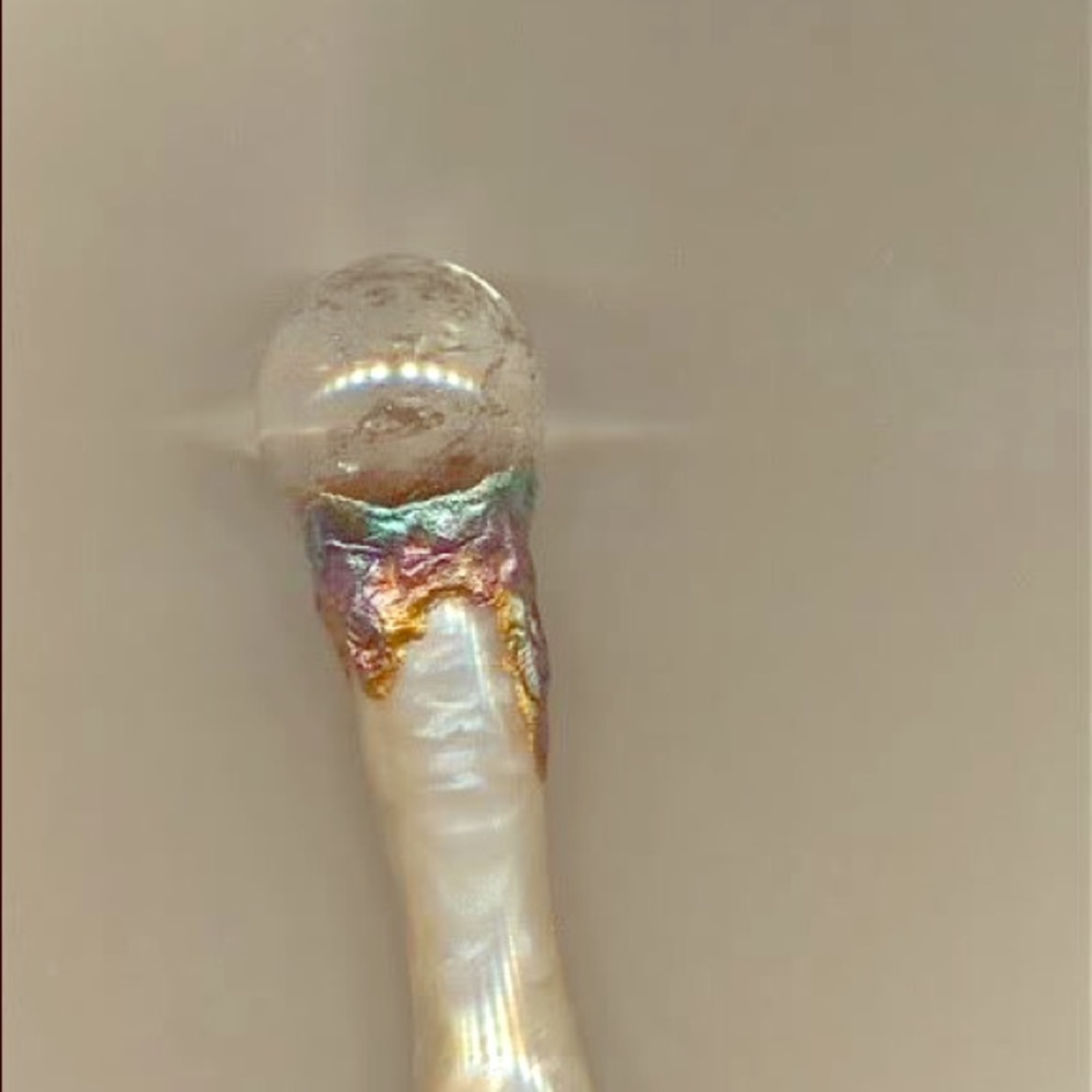 New Years Wand of Life 🍁2026 started in 2019